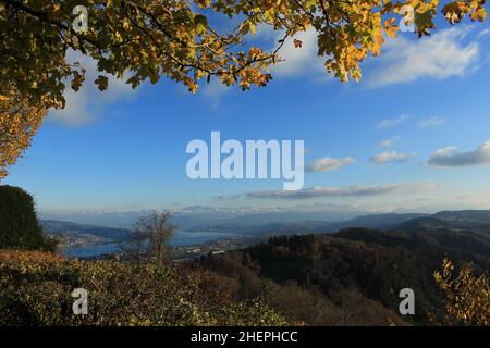 Blick vom Gipfel des Utelibergs auf den Zürichsee und die alpen (Schweiz) Stockfoto