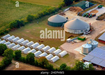 Neuer Großbetrieb mit Tiermast- und Biogasanlage, Getreidetrocknung, Folientunnel, Luftaufnahme, Deutschland, Schleswig-Holstein, Hohenlockstedt Stockfoto