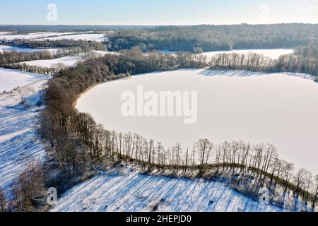 Verschneite Kulturlandschaft mit Weiden und Hecken und gefrorenem Lankauer See, Drohnenfoto, Deutschland, Schleswig-Holstein Stockfoto