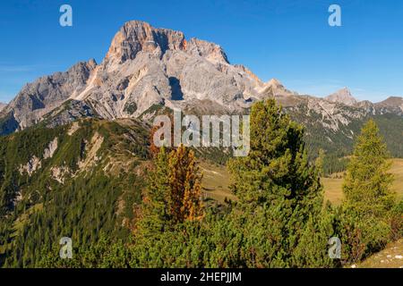 Blick von der Plätzwiese, Prato Piazza, auf die hohe Gaisl, Croda Rossa d'Ampezzo, Italien, Südtirol, Dolomiten Stockfoto