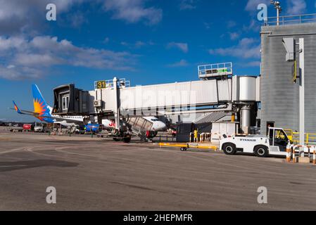 Jet-Brücke am Flughafen Alicante Elche, Costa Blanca, Spanien, EU. Luftbrücke. Jet2 Boeing 737 im Rückstand. Jetway, Jetwalk, Airgate, Gangway oder Aerobridge Stockfoto