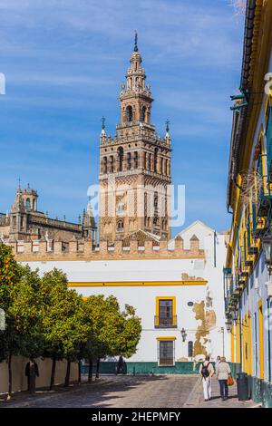 Sevilla, Provinz Sevilla, Andalusien, Südspanien.  Die Giralda Turm aus dem Patio de Banderas gesehen.  Der 98 Meter hohe Turm war einst die minare Stockfoto