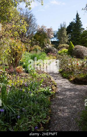 Wohngarten, Schottland im Frühjahr Stockfoto