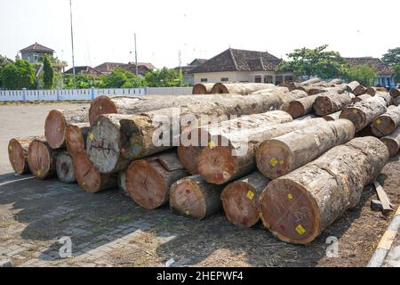 Sammlung von Holzblöcken im Hafen, die per Schiff transportiert werden sollen. Stockfoto