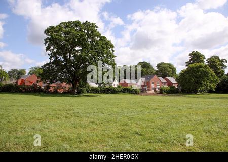 Neue Wohnsiedlung, Bauarbeiten neben Grünfeld, etablierte Bäume, Gras, Felder. Stockfoto