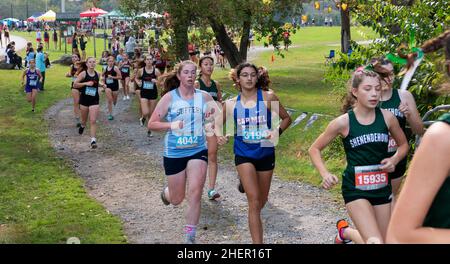 Wappingers Falls, New York, USA - 16. Oktober 2021: High School Girls treten an einem warmen Nachmittag im Bowdoin Park bei einem Cross Counry Rennen an. Stockfoto