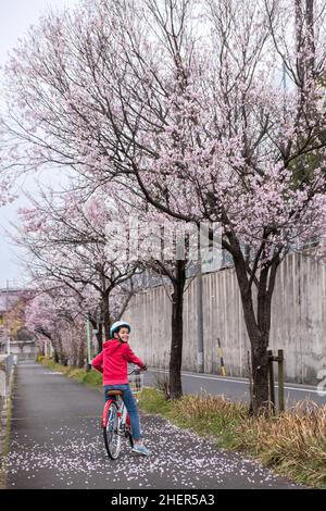 Das Mädchen steht auf einem Fahrrad unter einem blühenden Kirschblütenbaum und blickt über ihre Schulter. Frühling. Stockfoto