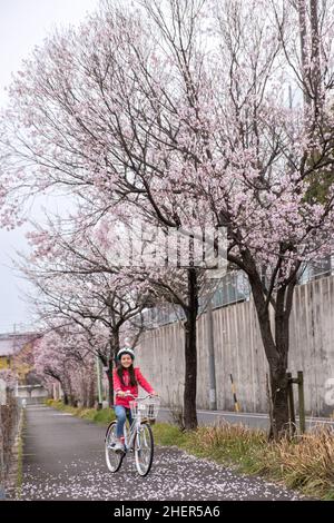 Präteen Mädchen auf einem Fahrrad stehen unter einem blühenden Sakura Kirschblütenbaum . Frühling. Stockfoto