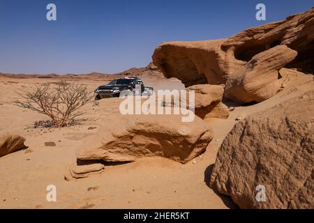 Bisha, Saudi-Arabien, 12th 2022. Januar 228 Zapletal Miroslav (cze), Skora Marek (svk), Offroadsport, Ford F150, Auto FIA T1/T2, Aktion während der Etappe 10 der Rallye Dakar 2022 zwischen Wadi Ad Dawasir und Bisha, am 12th 2022. Januar in Bisha, Saudi-Arabien - Foto: Florent Gooden/DPPI/LiveMedia Stockfoto