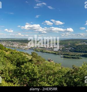 Blick auf den Rhein und die nahe bei Rüdesheim Stockfoto