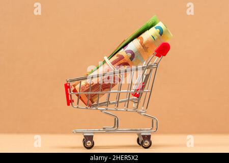 Warenkorb voller Euro-Banknoten. Konzept: Kredit, Investition, Rente, Geld sparen, Finanzierung, Schulden, Hypotheken, Finanzkrise oder Anstieg. Stockfoto
