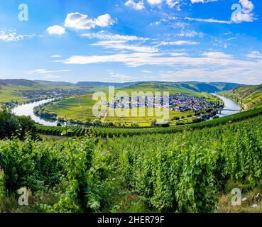Malerische moselschleife in Leiwen, Trittenheim in Deutschland Stockfoto