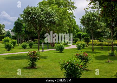 Ein grüner Rasen aus grünem Gras mit Sträuchern und Bäumen in einem Park mit einem Bürgersteig zum Wandern mit eisernen Bodenleuchten entlang der Wege auf einer gepflegten Landschaft Stockfoto