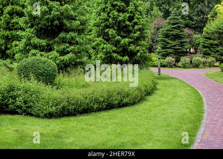Dichter Kiefernpark mit dornigen Bäumen und Laubbüschen mit grünem Gras Parklandschaft mit Erdlaterne in der Nähe von Steinfliesen Gehweg und grünem Gras, Park Stockfoto