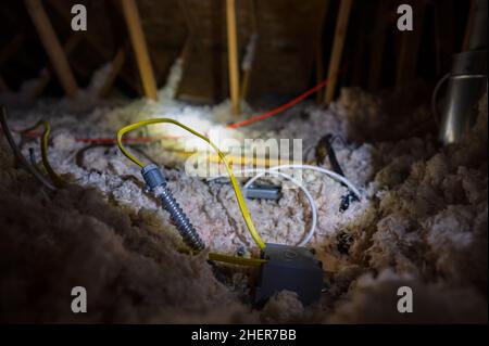 Elektrokabel und Kabelkanal, die auf einer durchgebrannten Isolierung in einem Dachboden des Hauses lose verlegt sind. Stockfoto