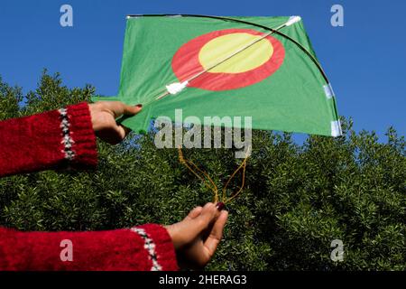 Weibchen halten und fliegen einen großen Drachen mit Naturhintergrund anlässlich des indischen Drachenfliegerfestivals von Makar sankranti oder Uttaryan, Pongal, Lohri c Stockfoto