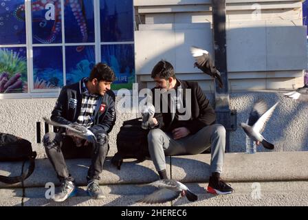 London, Großbritannien. 12th Januar 2022. Touristen füttern die Tauben in der Nähe des London Eye am Südufer. Wintersonne auf der Themse. Kredit: JOHNNY ARMSTEAD/Alamy Live Nachrichten Stockfoto