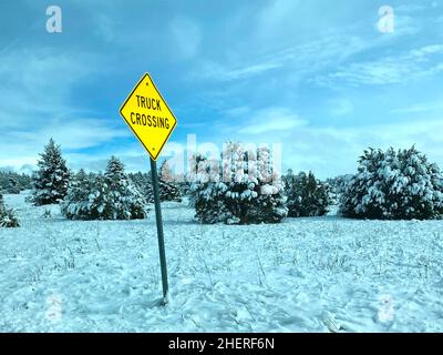 Blick auf eine verschneite Landschaft entlang einer Straße im Norden Arizonas mit einem leuchtend gelben Truck Crossing-Schild im Vordergrund und schneebedeckten Bäumen im Hintergrund. Stockfoto