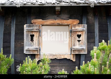 Offene Fensterläden aus altem Holzfenster auf altem Chalet mit Kopierplatz und Zwergkiefer davor Stockfoto
