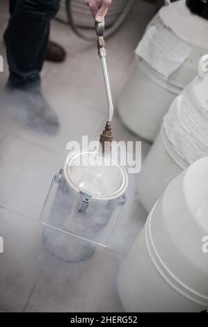 Flüssigstickstoff-Techniker füllt Kryogenbehälter Stockfoto