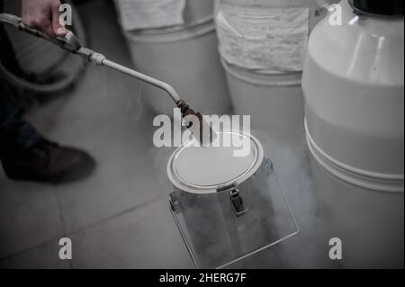 Flüssigstickstoff-Techniker füllt Kryogenbehälter Stockfoto