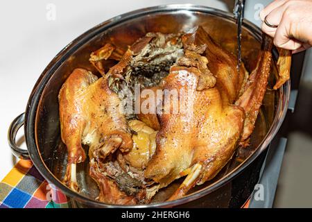 Gebratene gefüllte Gans auf dem Teller mit reifen Äpfeln über dem hölzernen Küchentisch. Draufsicht. Stockfoto