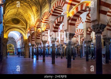 Säulen an der Mezquita Kathedrale der Cordoba Moschee Andalusien Spanien. Die Moschee-Kathedrale von Cordoba (Weltkulturerbe seit 1984) ist wohl Th Stockfoto