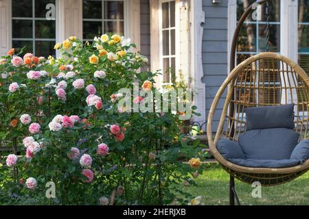 Romantische Sitzecke im Rosengarten, runder Holztisch und Stühle in der Nähe der großen blühenden Rosensträucher Stockfoto