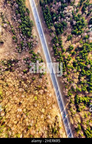 Gerade Straße durch Herbst Wald Antenne. Wunderschöne Orangenbäume und grüne Kiefern von oben. Autobahn in einer Herbstsaison. Stockfoto