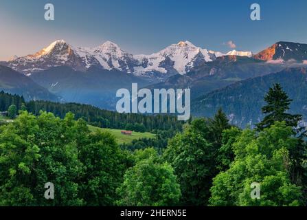 Eiger-Triumvirat mit Eiger-Nordwand, Mönch und Jungfrau bei Sonnenaufgang, Beatenberg, Berner Alpen, Berner Oberland, Kanton Bern, Schweiz Stockfoto