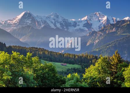 Eiger triumvirat mit der Eigernordwand, Mönch und Jungfrau in der Morgensonne, Beatenberg, Berner Alpen, Berner Oberland, Kanton Bern Stockfoto