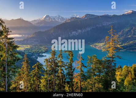 Eiger-Triumvirat mit der Eigernordwand, Mönch und Jungfrau oberhalb des Thunersees in der frühen Morgensonne, Beatenberg, Berner Alpen, Berner Stockfoto