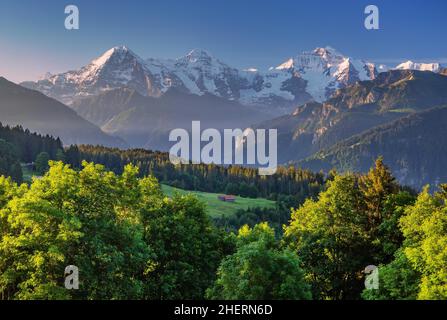 Eiger triumvirat mit der Eigernordwand, Mönch und Jungfrau in der Morgensonne, Beatenberg, Berner Alpen, Berner Oberland, Kanton Bern Stockfoto