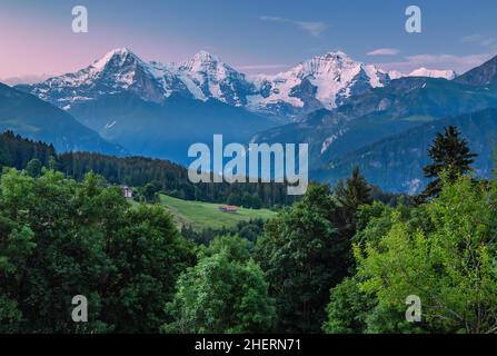 Eiger-Triumvirat mit Eiger-Nordwand, Mönch und Jungfrau bei Sonnenaufgang, Beatenberg, Berner Alpen, Berner Oberland, Kanton Bern, Schweiz Stockfoto