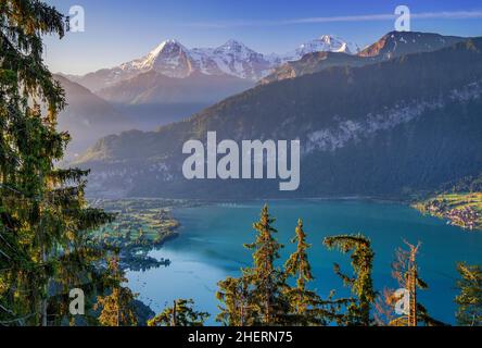 Eiger-Triumvirat mit der Eigernordwand, Mönch und Jungfrau oberhalb des Thunersees in der frühen Morgensonne, Beatenberg, Berner Alpen, Berner Stockfoto