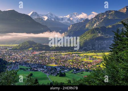 Eiger-Triumvirat mit der Eigernordwand, Mönch und Jungfrau über dem Dorf, Interlaken, Berner Alpen, Berner Oberland, Kanton Bern. Stockfoto