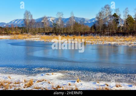 Gefrorener Moorteich mit Raureif, Chiemgauer Alpen im Hintergrund, Grundbeckenmoor bei Rosenheim, Bayern, Deutschland Stockfoto