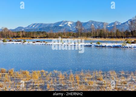 Gefrorener Moorteich mit Raureif, Chiemgauer Alpen im Hintergrund, Grundbeckenmoor bei Rosenheim, Bayern, Deutschland Stockfoto