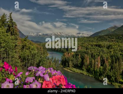 Der Kenai River in Alaska Stockfoto