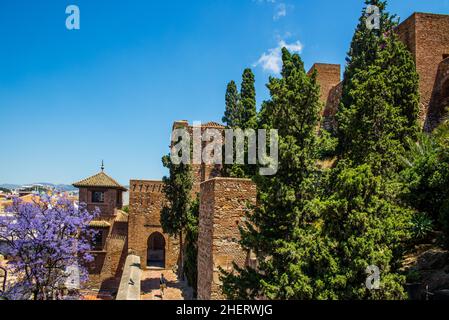 Alcazaba, Malaga, Malaga, Andalusien, Spanien Stockfoto