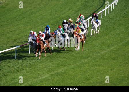 Pferde und Jockeys während eines Rennens im Hippodrom. Stockfoto