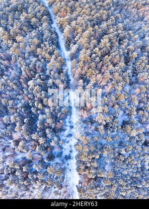 Blick auf den schneebedeckten Waldweg im Winter von oben. Kurvenreiche Straße durch schneebedeckten kalten Wald. Kalter Wintertag Stockfoto