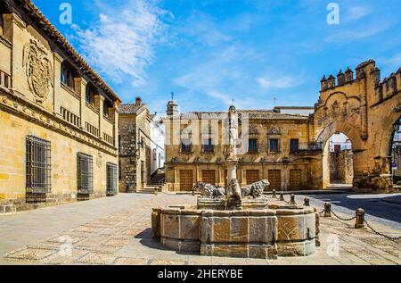Löwenbrunnen auf der Plaza del Populo, Baeza, Baeza, Andalusien, Spanien Stockfoto