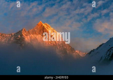 Sternenhimmel über Machhepuchare und Annapurna Base Camp - Nepal, Himalaya Stockfoto