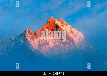Sternenhimmel über Machhepuchare und Annapurna Base Camp - Nepal, Himalaya Stockfoto