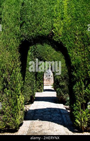 Labyrinth, Generalife, Sommerpalast der maurischen Herrscher, älteste erhaltene maurische Gartenanlage, Granada, Granada, Andalusien, Spanien Stockfoto