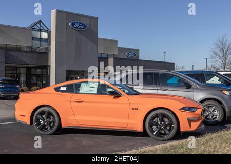 Indianapolis - ca. Januar 2022: Ford Mustang Display bei einem Händler. Ford bietet den Mustang im Basismodell GT, Mach 1 oder Shelby GT500 an. Stockfoto