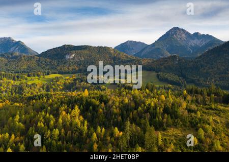 Buntes Herbstbaumpanorama in den österreichischen alpen Stockfoto