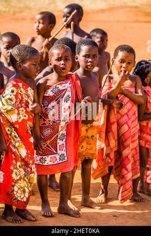 Kinder beobachten mit Interesse die traditionellen Bräuche in einem echten afrikanischen Dorf, Umphakatsi Chief Stockfoto