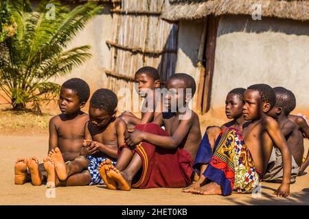 Kinder beobachten mit Interesse die traditionellen Bräuche in einem echten afrikanischen Dorf, Umphakatsi Chief Stockfoto